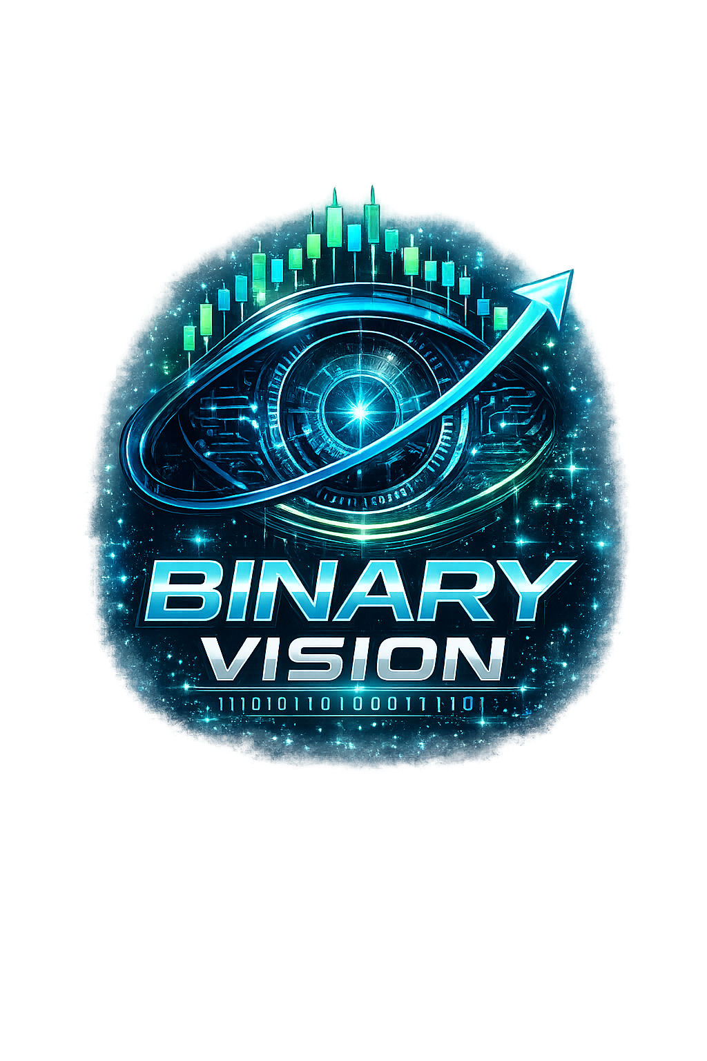 Binary Vision